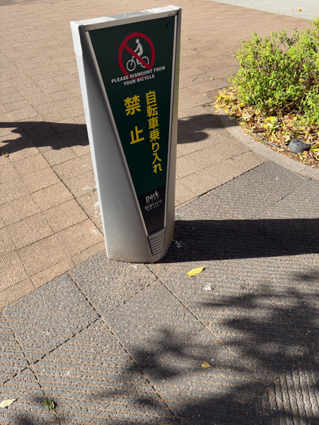 アップロードされた画像