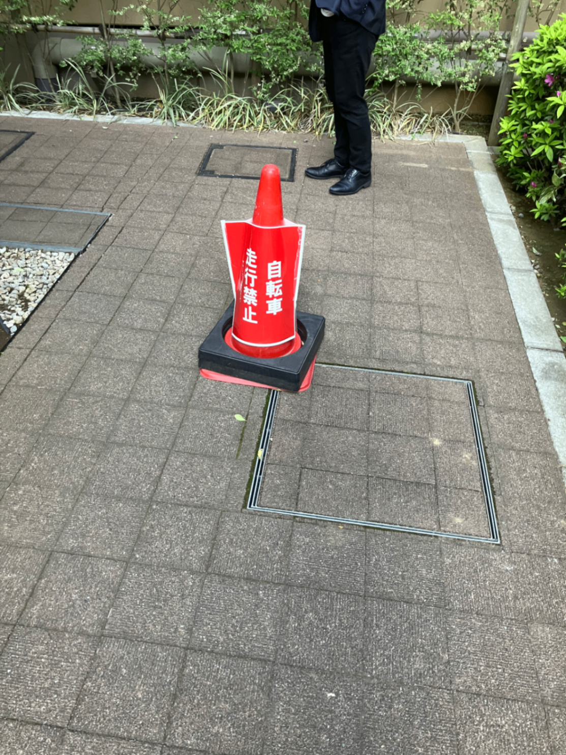 アップロードされた画像