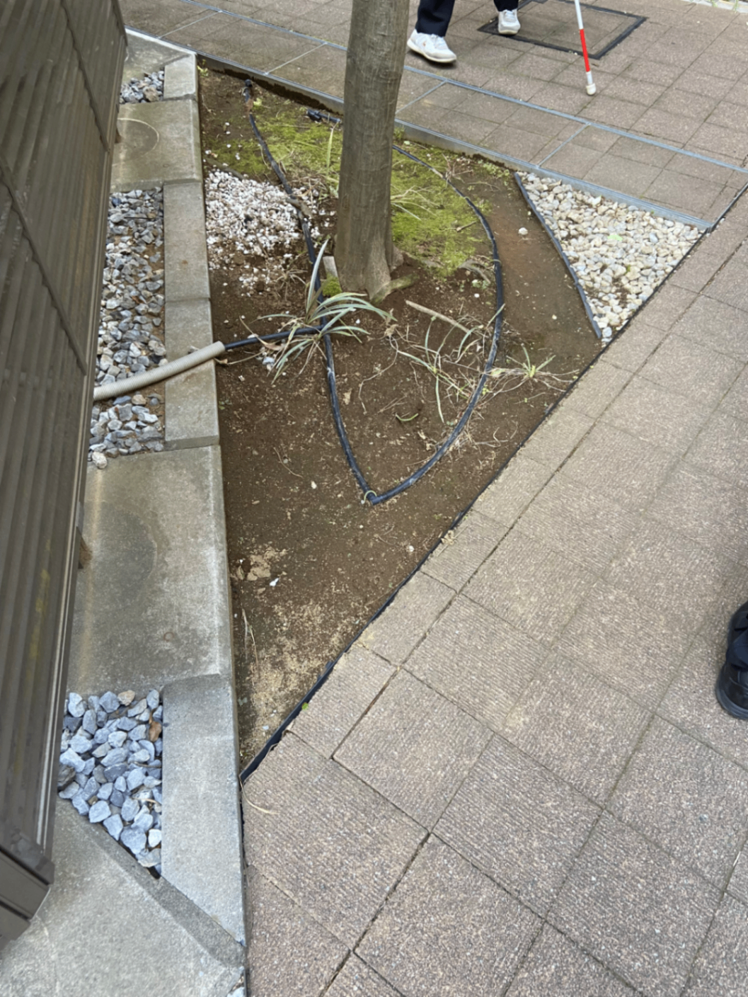 アップロードされた画像